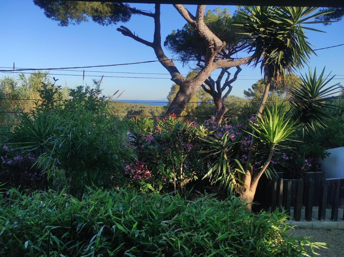 Villa Le M Six-Fours-les-Plages Extérieur photo