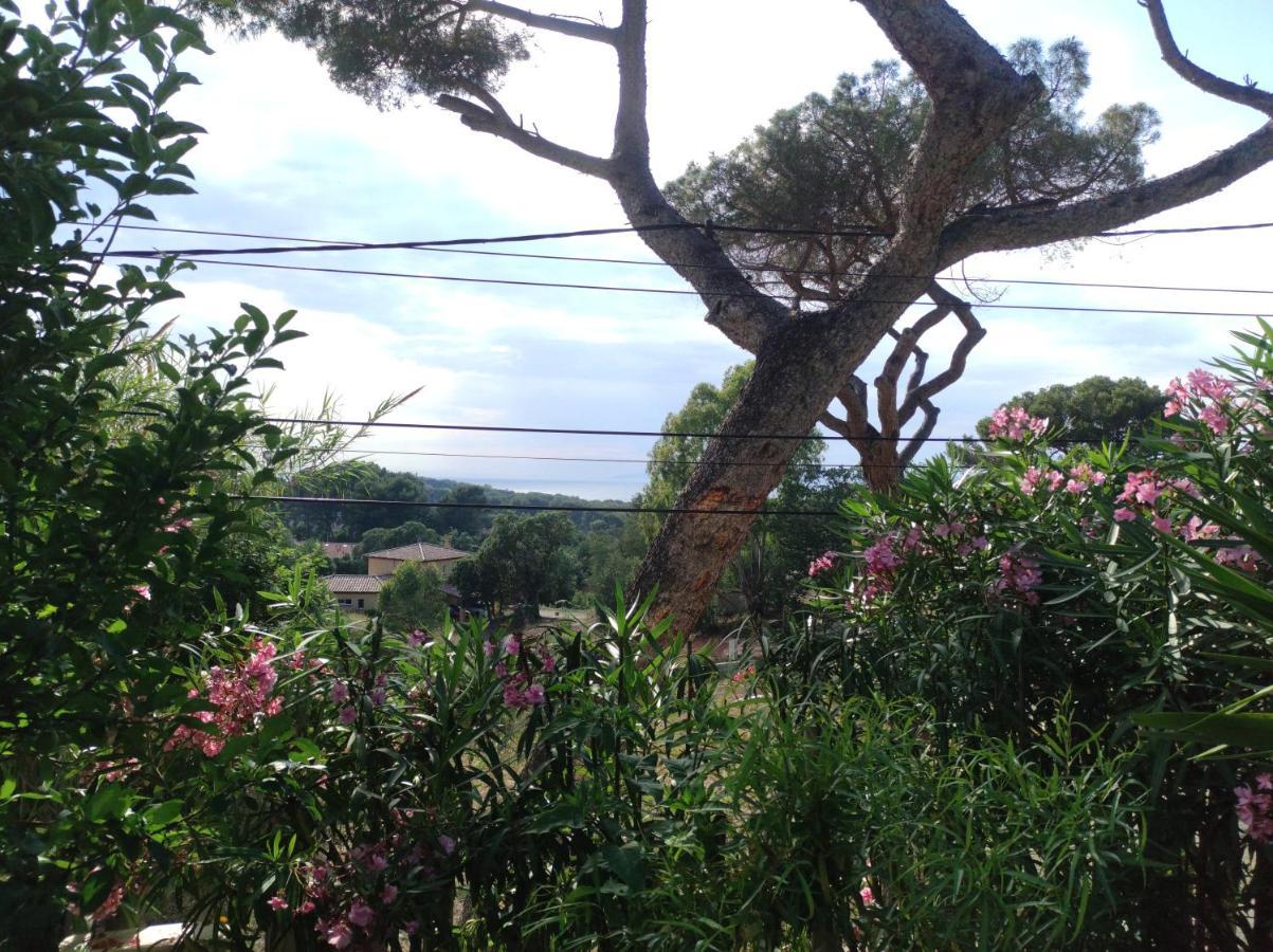 Villa Le M Six-Fours-les-Plages Extérieur photo